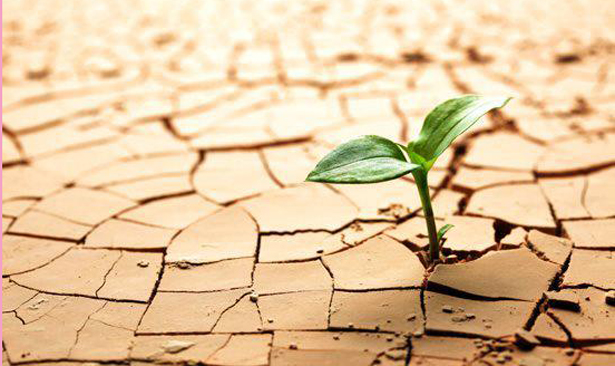 Sistema d’aferrament i resiliència