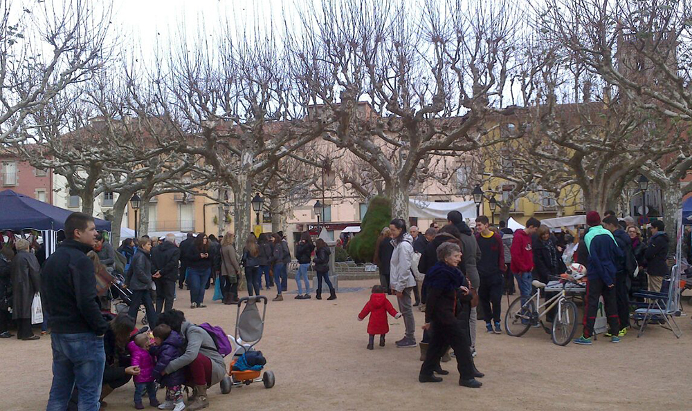 El Consorci participa al Consell d’Entitats de Sant Feliu de Pallerols