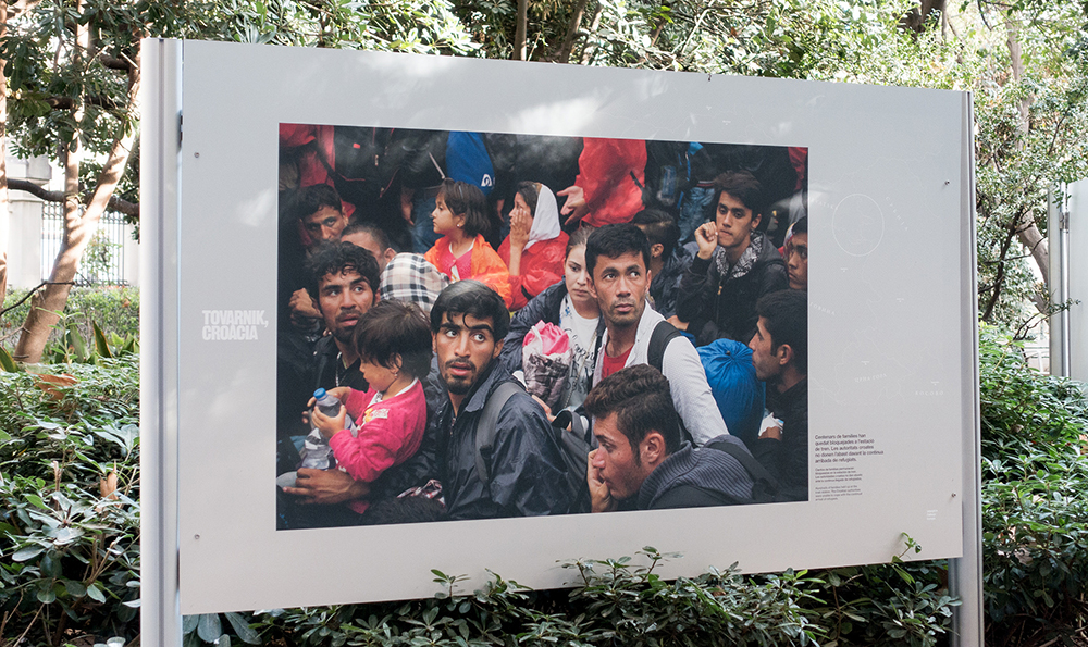 Visita a l’exposició «Refugiats l’odissea cap a Europa»