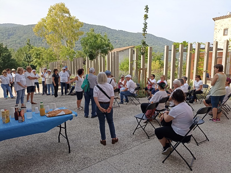 Bona participació en la caminada del Dia Mundial contra el maltractament a les persones grans