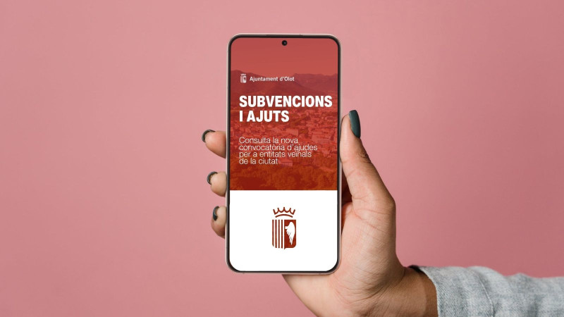 Convocatòria de subvencions per a entitats veïnals de l’Ajuntament d’Olot